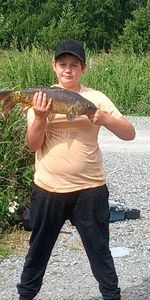 Mirror Carp