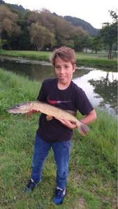 Northern Pike