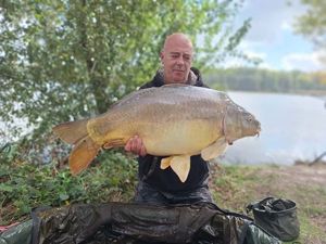 Mirror Carp