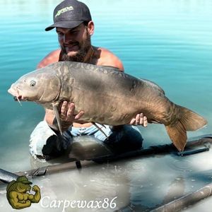 Leather Carp