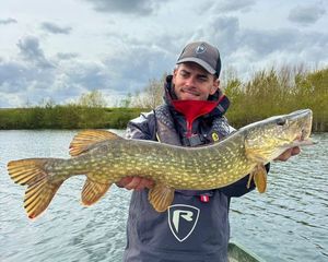 Northern Pike