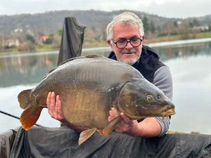 Mirror Carp