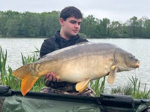 Mirror Carp