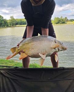 Leather Carp