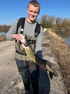 Northern Pike