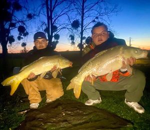 Leather Carp