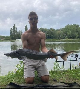 Sturgeon
