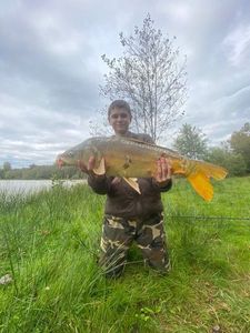 Mirror Carp