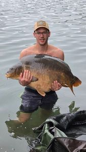 Mirror Carp