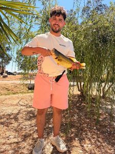 Largemouth Bass