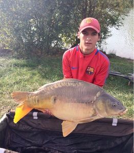 Mirror Carp