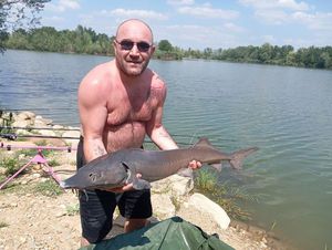 Sturgeon