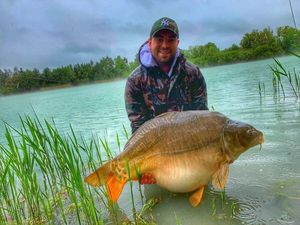 Mirror Carp