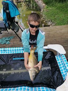 Mirror Carp