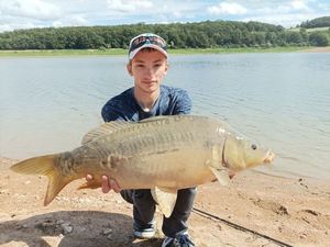 Mirror Carp