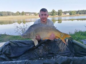 Mirror Carp