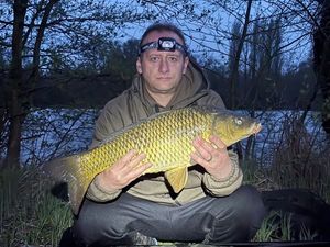 Common Carp
