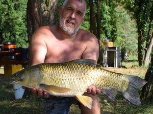 Carpe Amour (Carpe de Roseau)