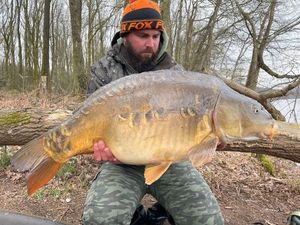 Mirror Carp