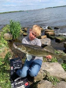 Zander