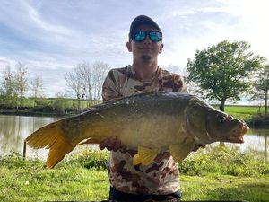 Mirror Carp