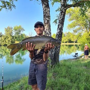 Leather Carp