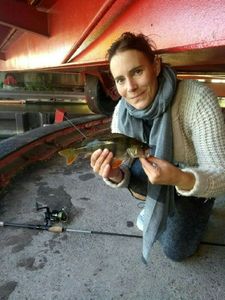 European Perch