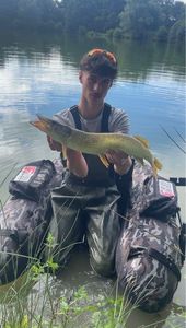 Northern Pike