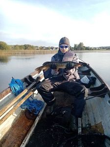 Northern Pike