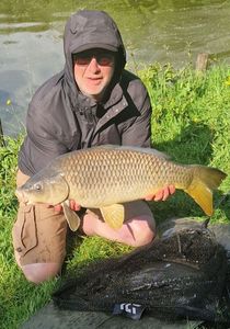 Common Bream