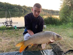 Common Carp