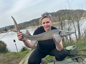 Sturgeon
