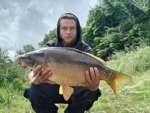 Mirror Carp