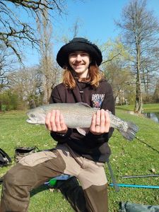 Rainbow Trout