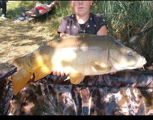 Leather Carp