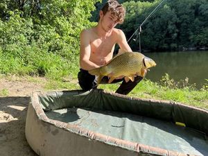 Common Carp