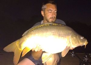 Mirror Carp