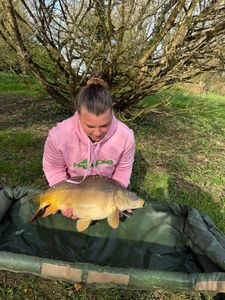 Mirror Carp