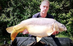 Mirror Carp