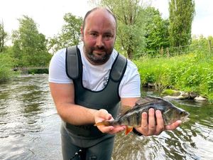 European Perch