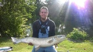 Grass Carp