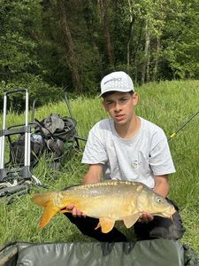 Mirror Carp