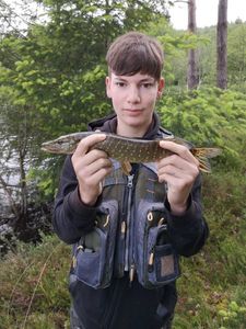 Northern Pike