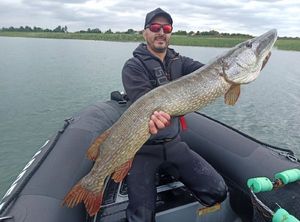 Northern Pike