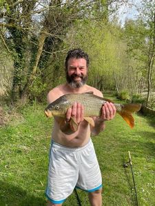 Common Carp