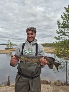 Northern Pike