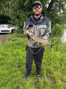 Northern Pike
