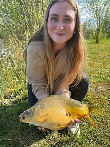 Mirror Carp