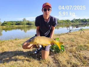 Mirror Carp