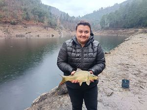 Common Carp